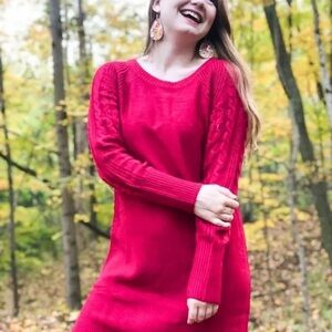 LuLaRoe Lauren Chenille sweater dress or tunic top- nwot